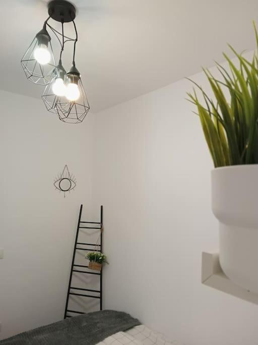 Precioso Apartamento Con Terraza En Piso Superior Лос-Реалехос Екстер'єр фото